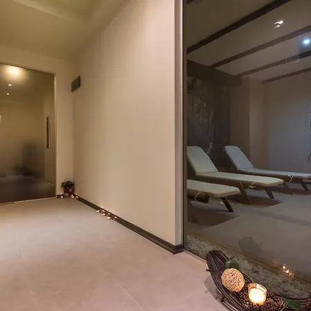 Lion 4* בורובץ