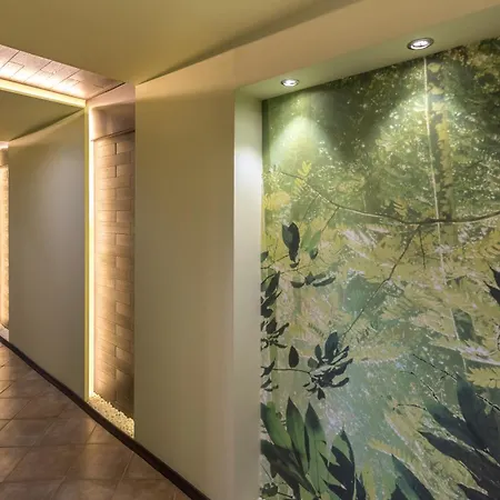 Lion מלון בורובץ