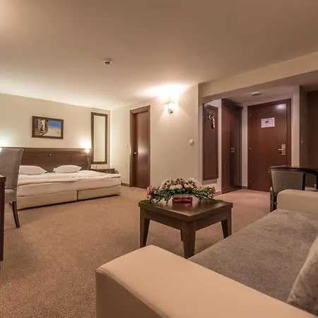 ホテル Lion ボロヴェッツ