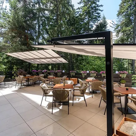 Lion מלון בורובץ