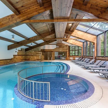 Lion 4* בורובץ