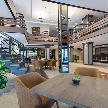 Lion 4* ボロヴェッツ