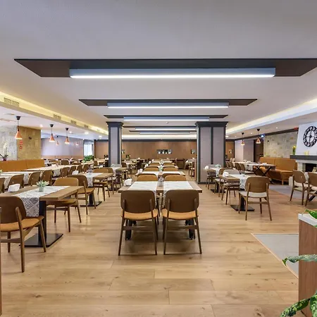 Lion 4* ボロヴェッツ