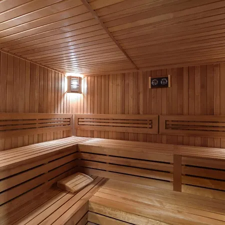 Lion ボロヴェッツ