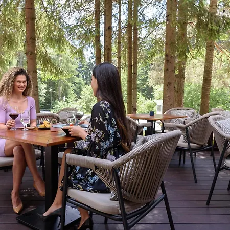 Lion 4* ボロヴェッツ