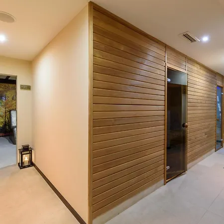 Lion 4* בורובץ