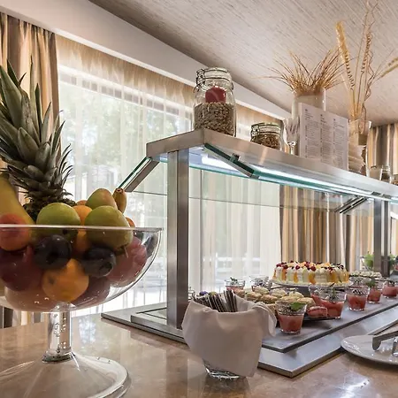 מלון Lion בורובץ