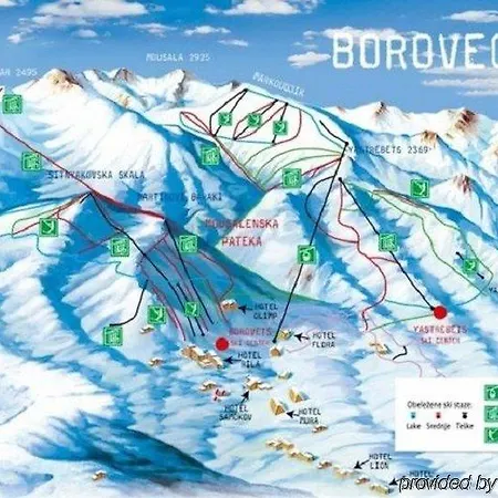 Lion ボロヴェッツ