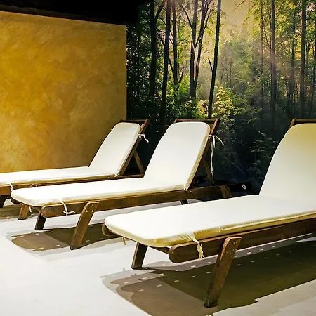 Lion ホテル ボロヴェッツ