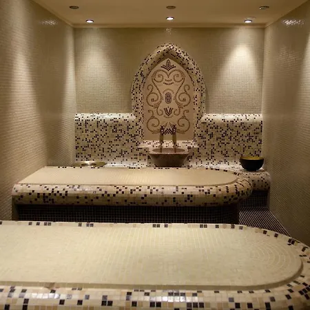 מלון Lion בורובץ