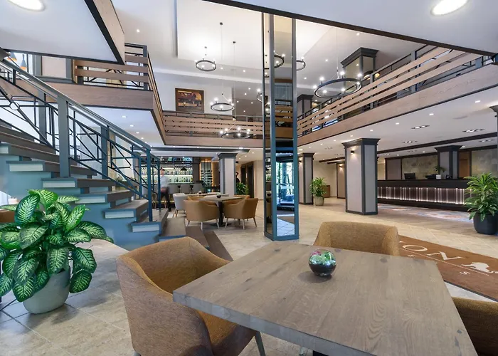 Lion 4* בורובץ