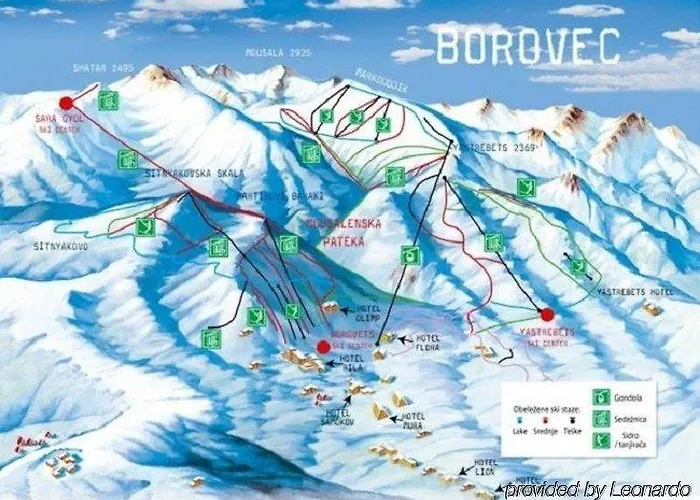 Lion Borovets