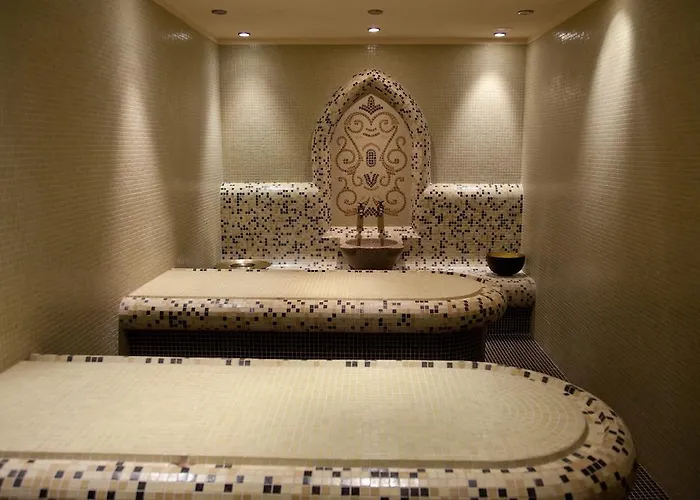 מלון Lion בורובץ